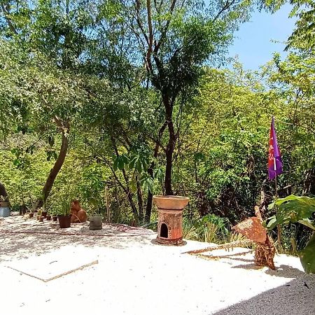 Laurel Jungle & Ocean Vila Playa Santa Teresa  Exterior foto