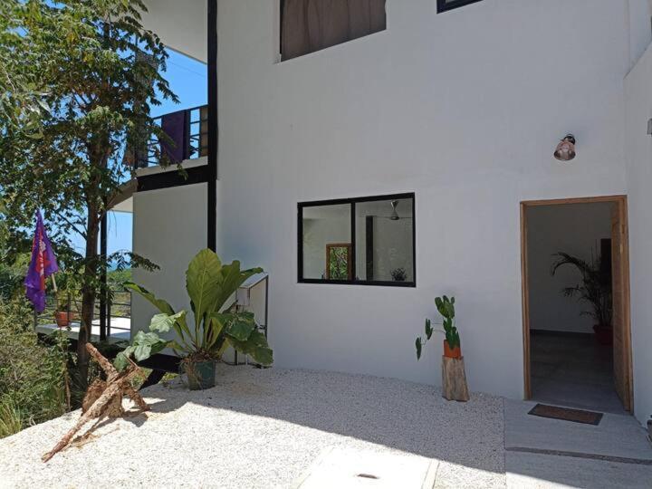 Laurel Jungle & Ocean Vila Playa Santa Teresa  Exterior foto