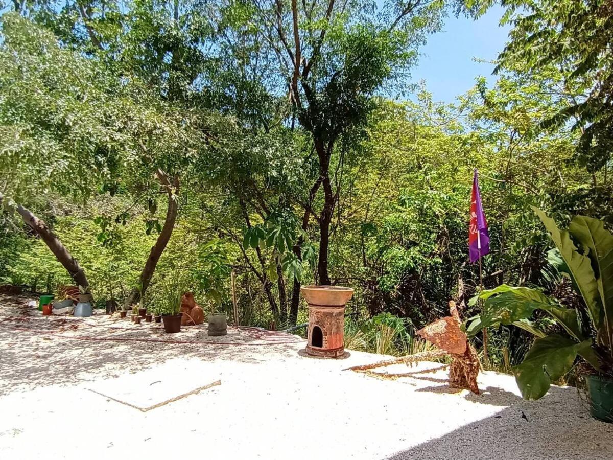 Laurel Jungle & Ocean Vila Playa Santa Teresa  Exterior foto